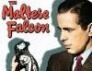 The Maltese Falcon: One Magnificent Bird