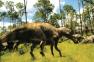 When Dinosaurs Roamed America