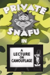 A Lecture on Camouflage