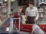 Aunt Bee Learns to Drive