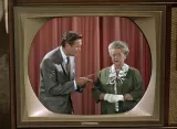 Aunt Bee on TV
