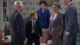 Aunt Bee, the Swinger