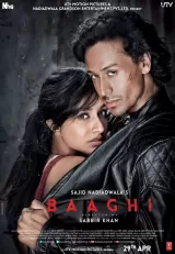 Baaghi: A Rebel For Love
