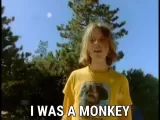 Beck: Loser