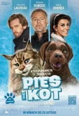Chien & chat