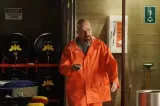 Cornered