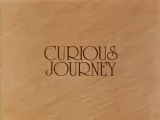 Curious Journey: The 1916 Easter Rising