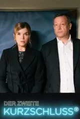 Der zweite Kurzschluss