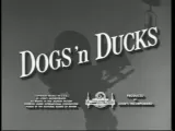 Dogs \