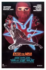 Enter the Ninja