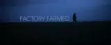 Factory Farmed