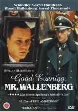 Good Evening, Mr. Wallenberg