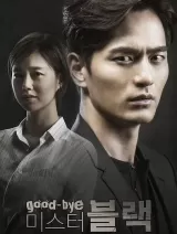 Goodbye Mr. Black