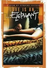 I agapi einai... elefantas