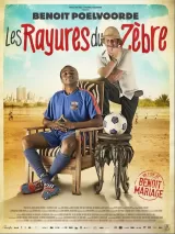 Les rayures du zèbre