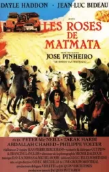 Les roses de Matmata