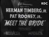 Meet the Bride
