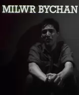 Milwr Bychan