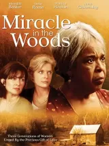 Miracle in the Woods