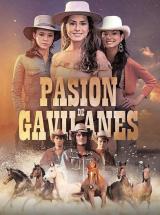 Pasión de gavilanes