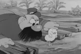 Poultry Pirates
