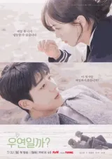 Serendipity\