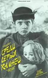 Sredi serykh kamney