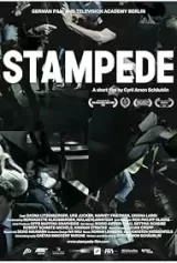 Stampede