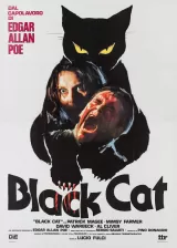 The Black Cat