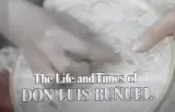 The Life and Times of Don Luis Buñuel