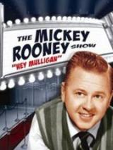 The Mickey Rooney Show