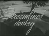 The Streamlined Donkey