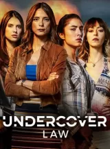 Undercover Law