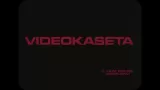 Videokaseta