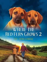 Where the Red Fern Grows: Part 2