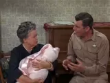 baby in the house