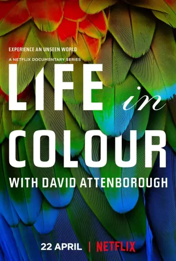 Life in Colour