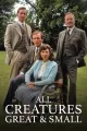 All Creatures Great and Small - Season 1
