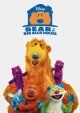 Home Is Where the Bear Is