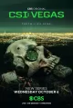 CSI: Vegas - Season 1