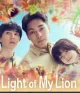 Light of My Lion