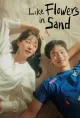 Like Flowers in Sand