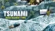 Tsunami: Race Against Time