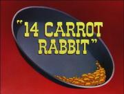 14 Carrot Rabbit