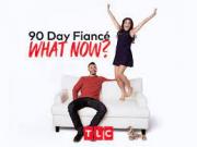 90 Day Fiancé: What Now?