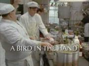 A Bird in the Hand