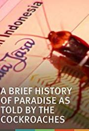 A Brief History of Paradise as Told by the Cockroaches
