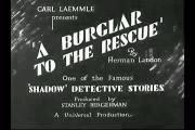 A Burglar to the Rescue