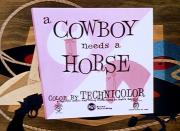 A Cowboy Needs a Horse