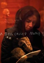 A Dog Called Money